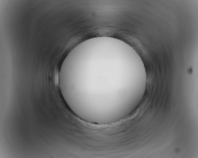 X0000103240046200808281043
