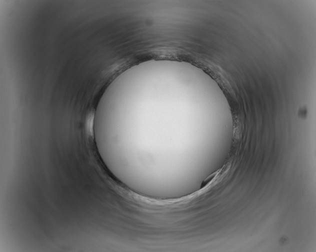 X0000103240047200808281043