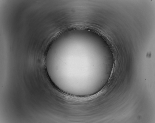X0000103240048200808281043