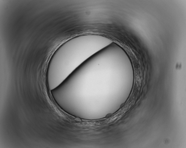 X0000103240049200808281043