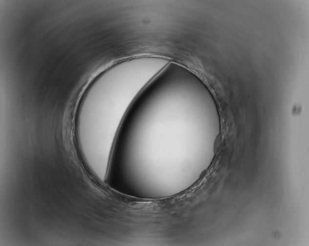 X0000103240050200808281043