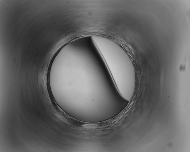 X0000103240051200808281043