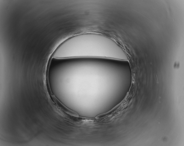 X0000103240052200808281043