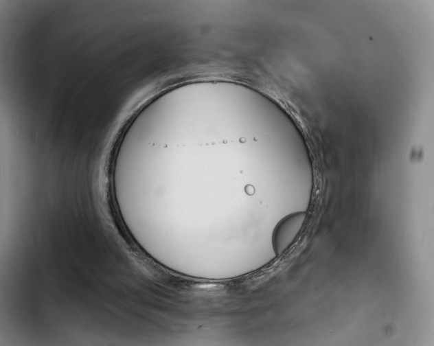 X0000103240053200808281043
