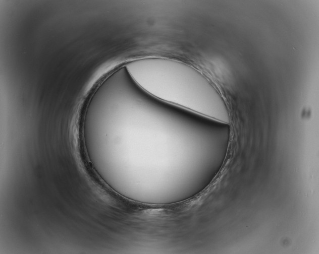 X0000103240054200808281043