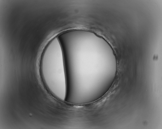 X0000103240055200808281043