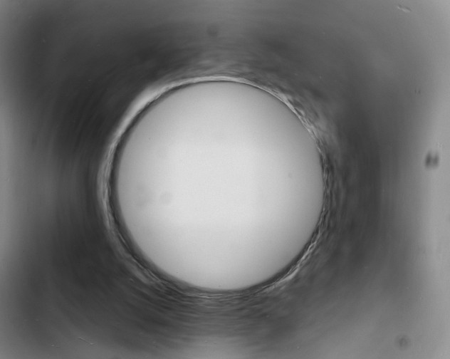 X0000103240056200808281043