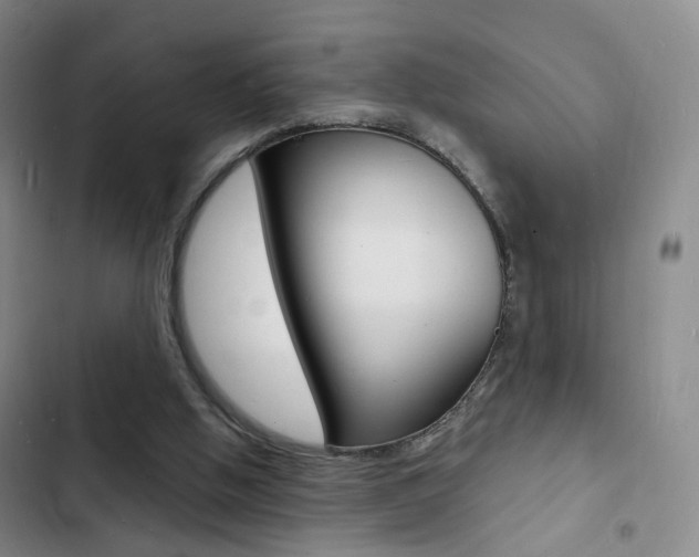 X0000103240058200808281043
