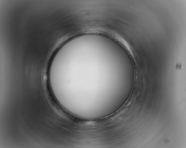 X0000103240059200808281043