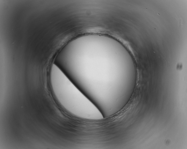 X0000103240061200808281043