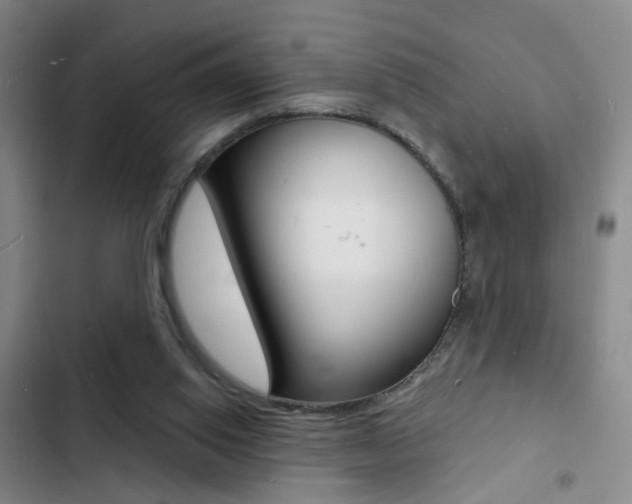 X0000103240062200808281043