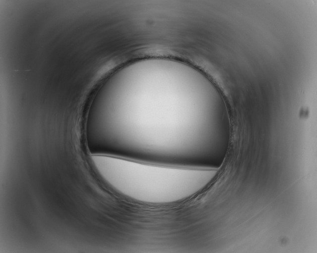 X0000103240063200808281043
