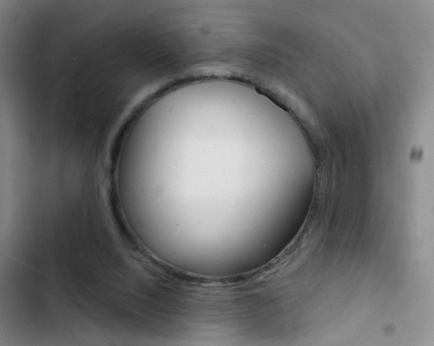 X0000103240064200808281043
