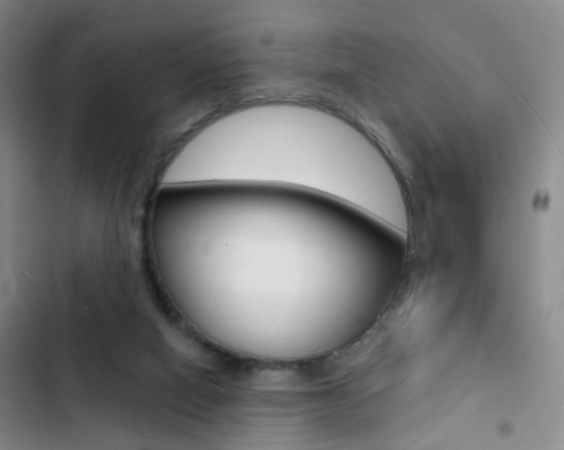 X0000103240066200808281043