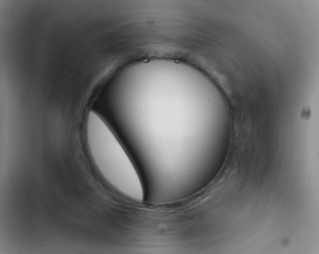 X0000103240067200808281043
