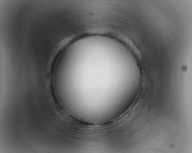 X0000103240068200808281043