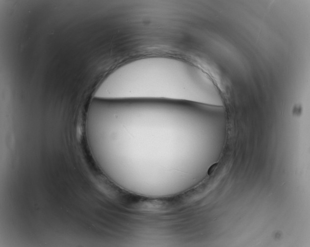 X0000103240069200808281043