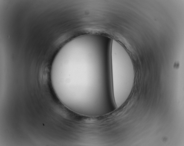 X0000103240071200808281043