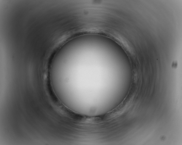 X0000103240072200808281043