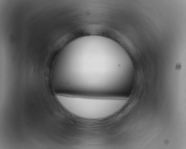 X0000103240073200808281043