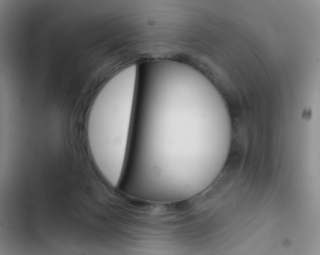 X0000103240074200808281043