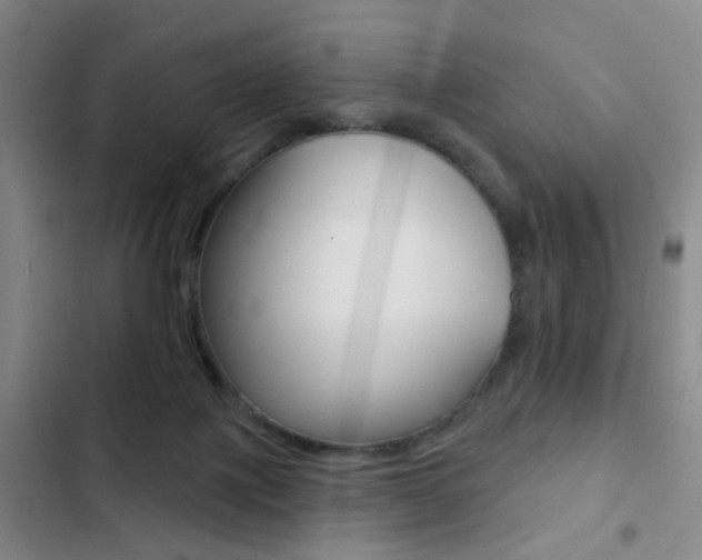 X0000103240075200808281043