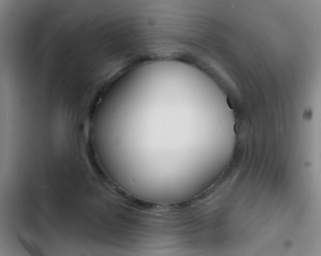 X0000103240076200808281043