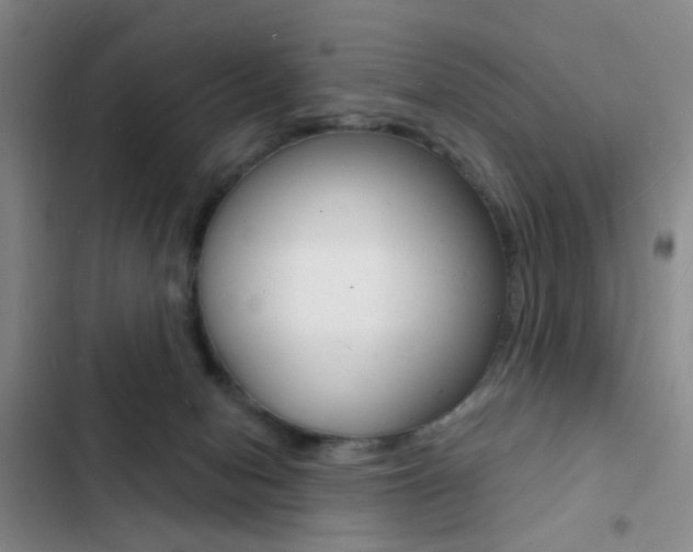 X0000103240078200808281043