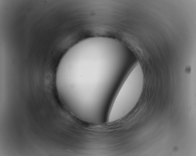 X0000103240079200808281043