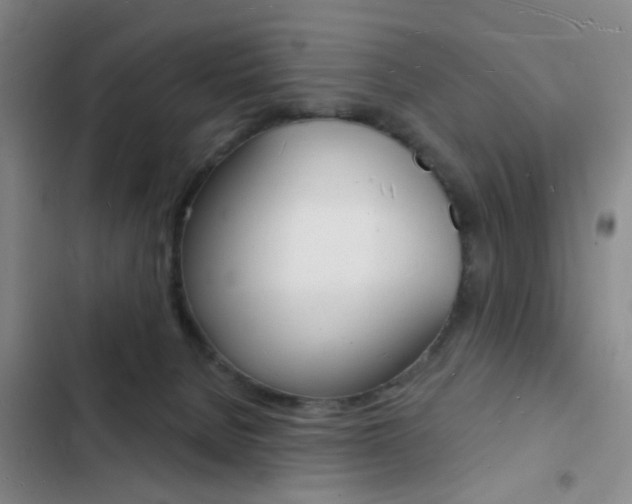 X0000103240080200808281043