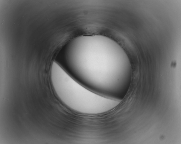 X0000103240081200808281043