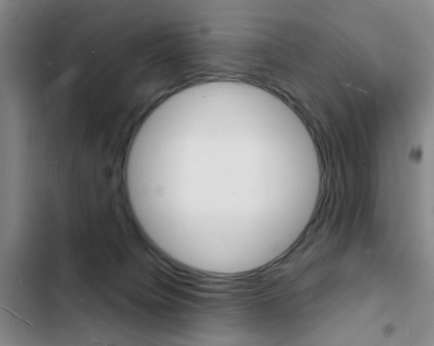 X0000103240084200808281043