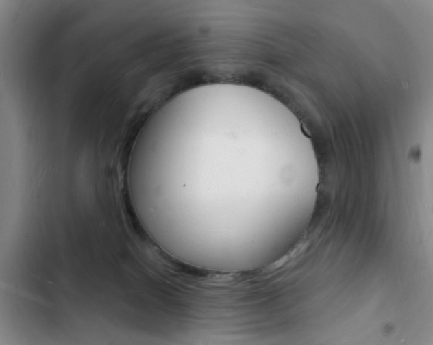 X0000103240086200808281043