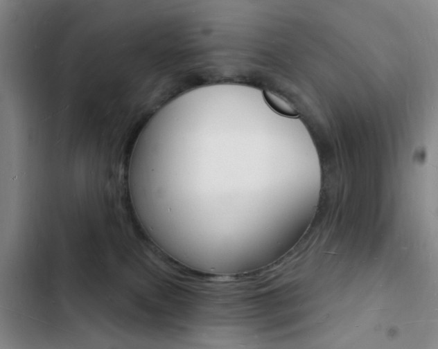 X0000103240087200808281043