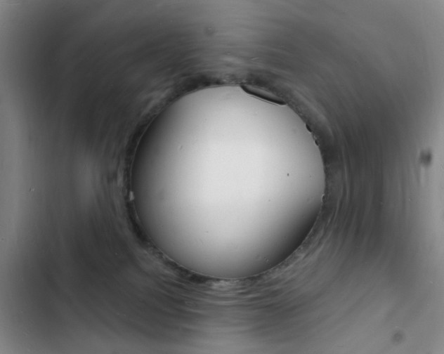 X0000103240088200808281043