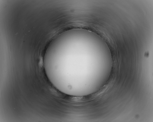X0000103240089200808281043