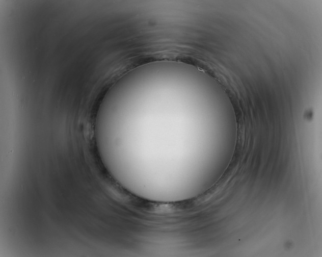 X0000103240091200808281043