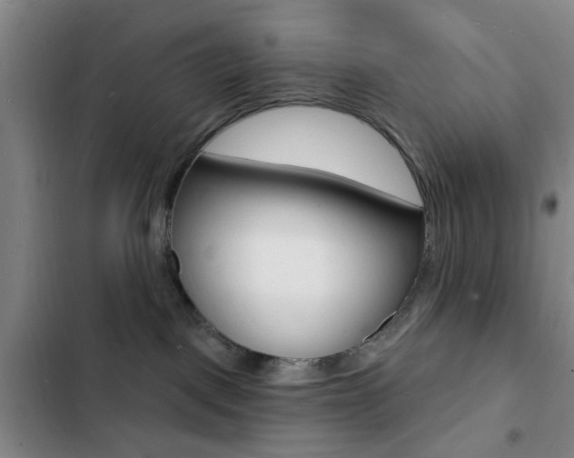 X0000103240093200808281043
