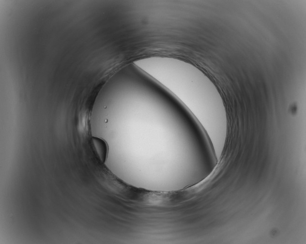 X0000103240094200808281043