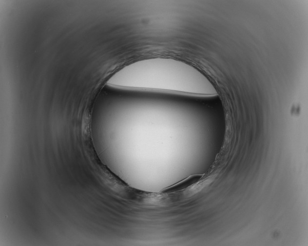 X0000103240096200808281043