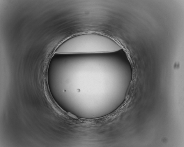 X0000103240097200808281043