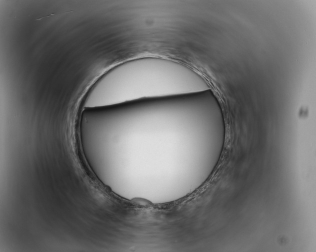 X0000103240098200808281043