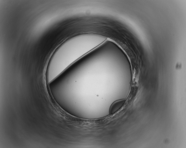 X0000103240099200808281043