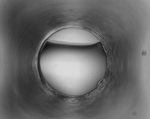 X0000103240100200808281043