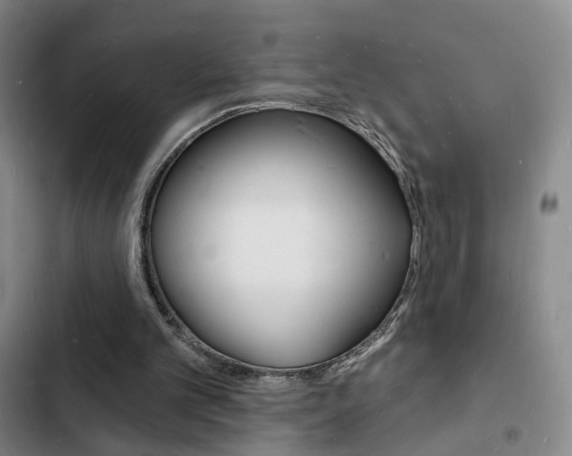 X0000103240101200808281043