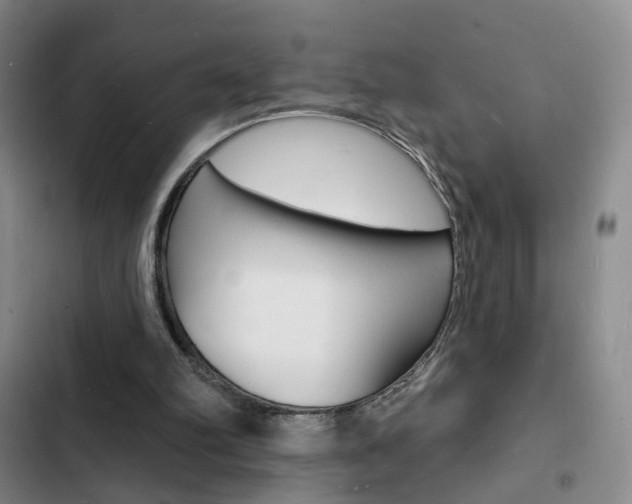 X0000103240102200808281043