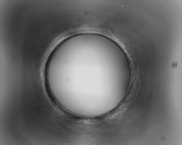 X0000103240103200808281043