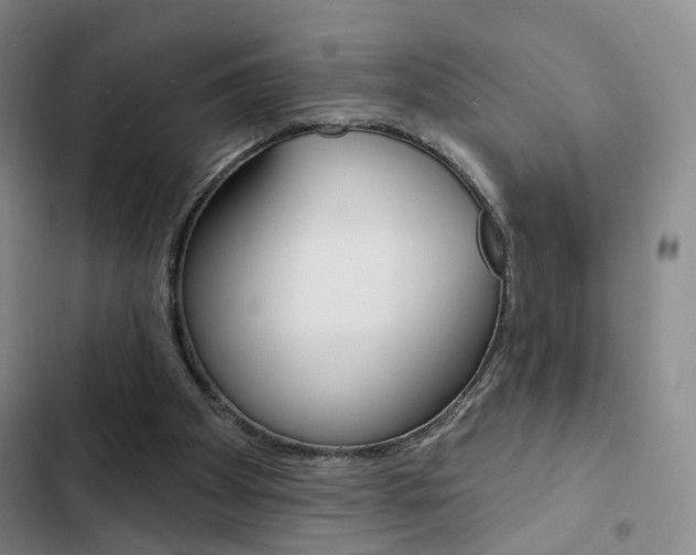 X0000103240105200808281043