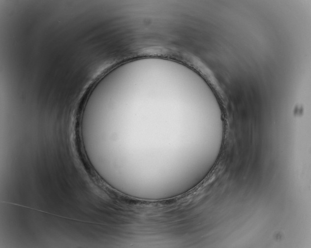 X0000103240106200808281043