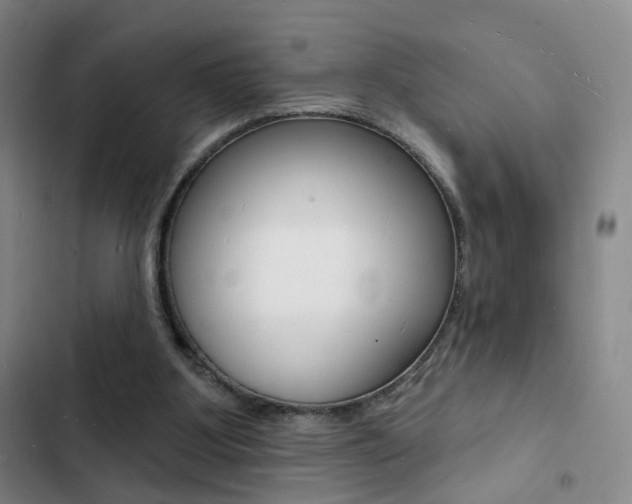 X0000103240107200808281043